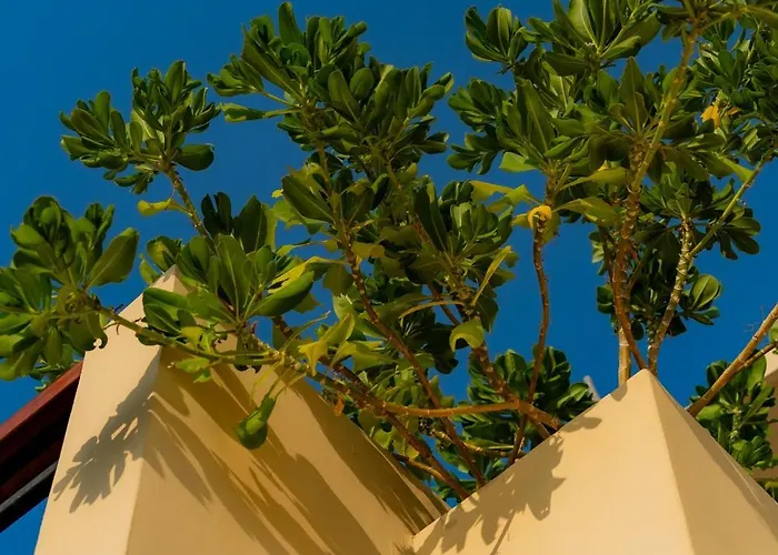 Tequila 4* Zihuatanejo